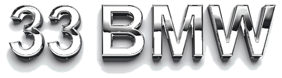 33 bmw logo